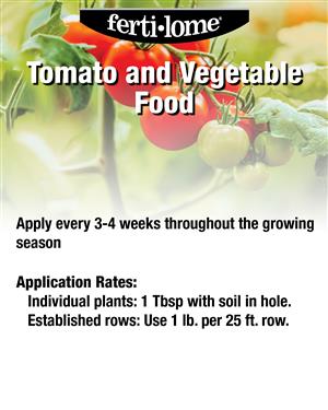 13857 Tomato and Vegetable Food 72 dpi USE image 01